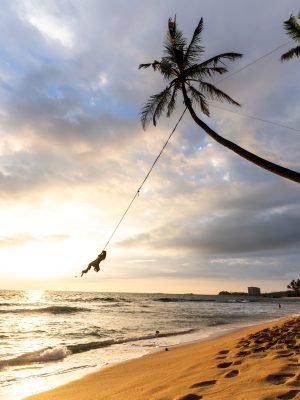 Palm tree swing above ocean at Dalawella Beach, Unawatuna, Sri Lanka,